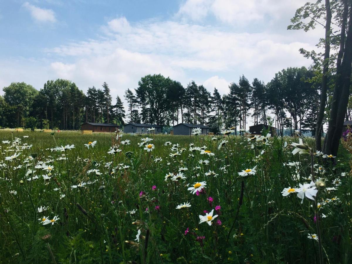 Hollicarrs - Wildflower Lodge Йорк Екстериор снимка