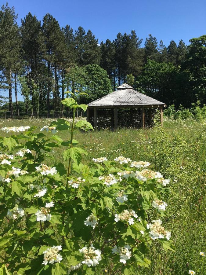 Hollicarrs - Wildflower Lodge Йорк Екстериор снимка