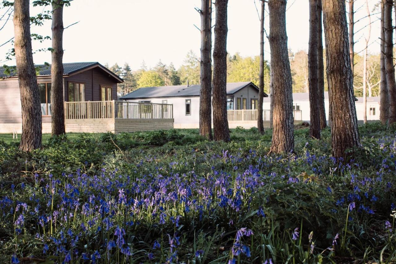Hollicarrs - Wildflower Lodge Йорк Екстериор снимка