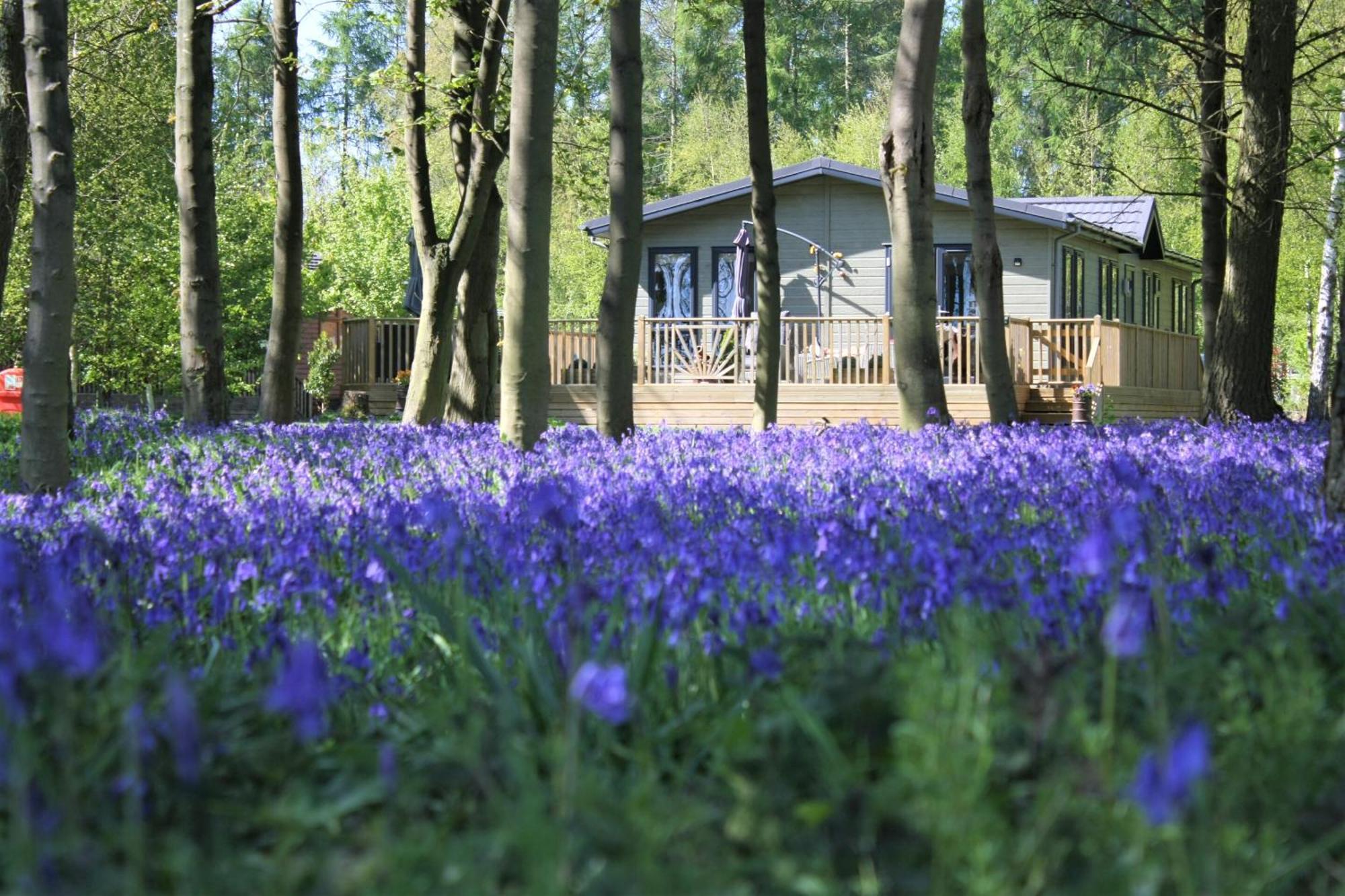 Hollicarrs - Wildflower Lodge Йорк Екстериор снимка