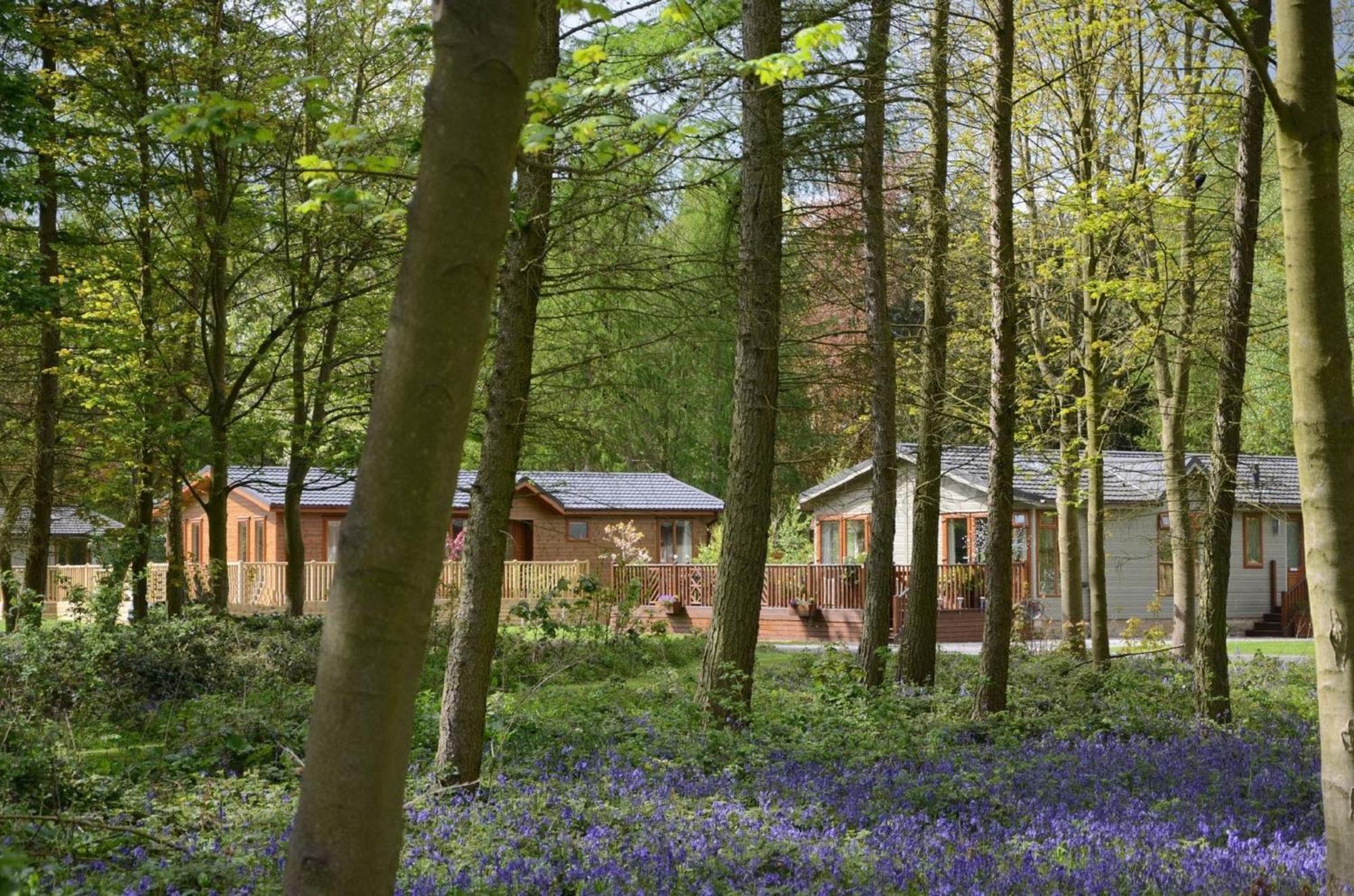 Hollicarrs - Wildflower Lodge Йорк Екстериор снимка